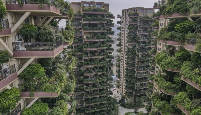 chinese-city-welcomes-vertical-forest-in-concrete-jungle