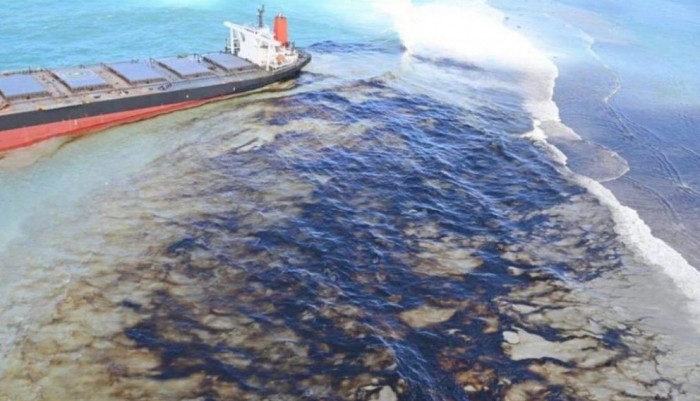 kiu-international-desk-second-japanese-team-in-mauritius-to-clean-mangroves-damaged-by-oil-spill