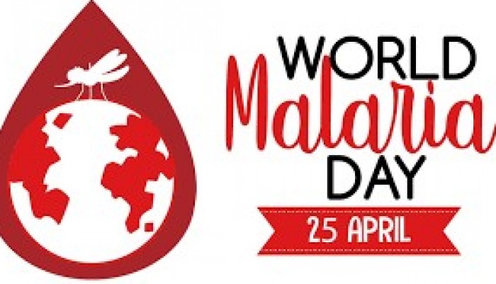 ministry-of-health-holds-virtual-discussion-on-malaria-control-to-celebrate-world-malaria-day